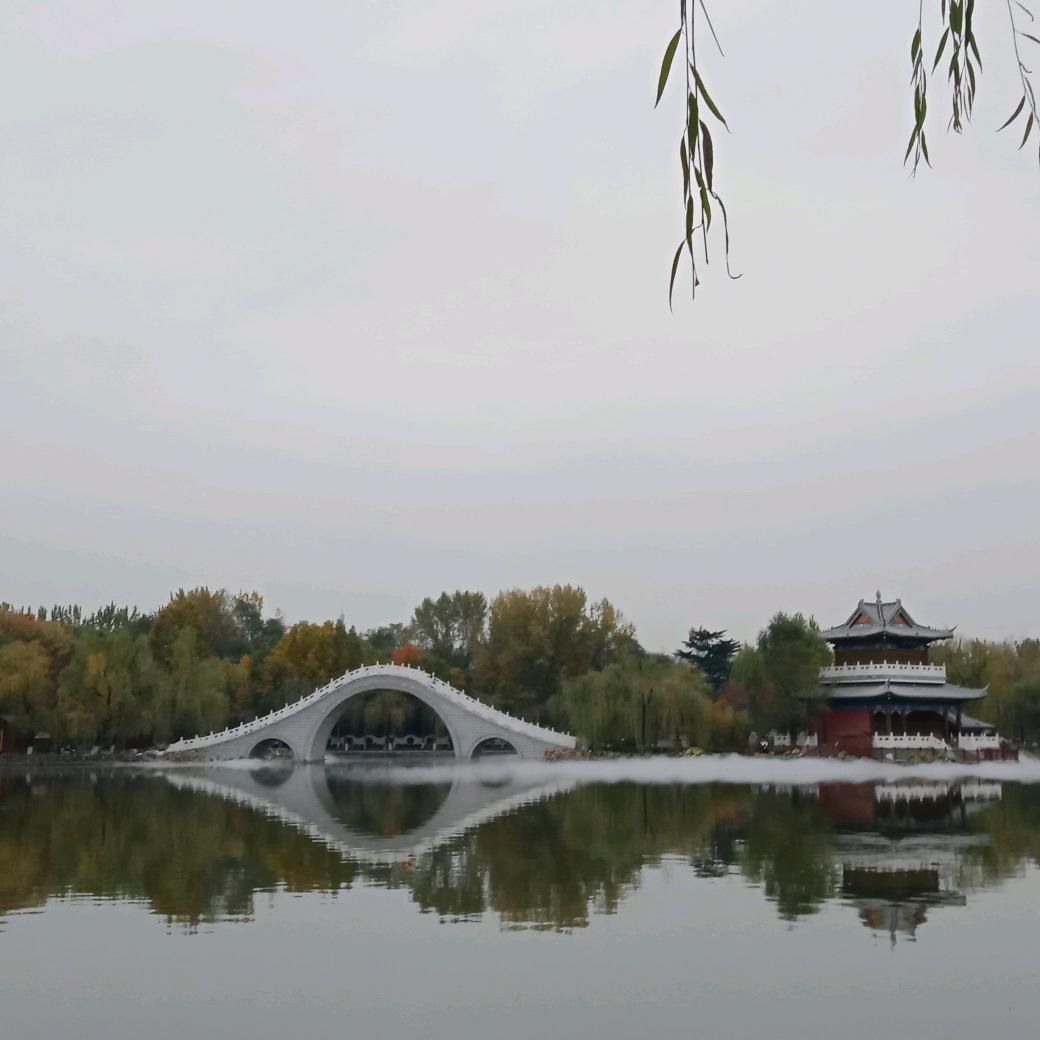 百世可乐