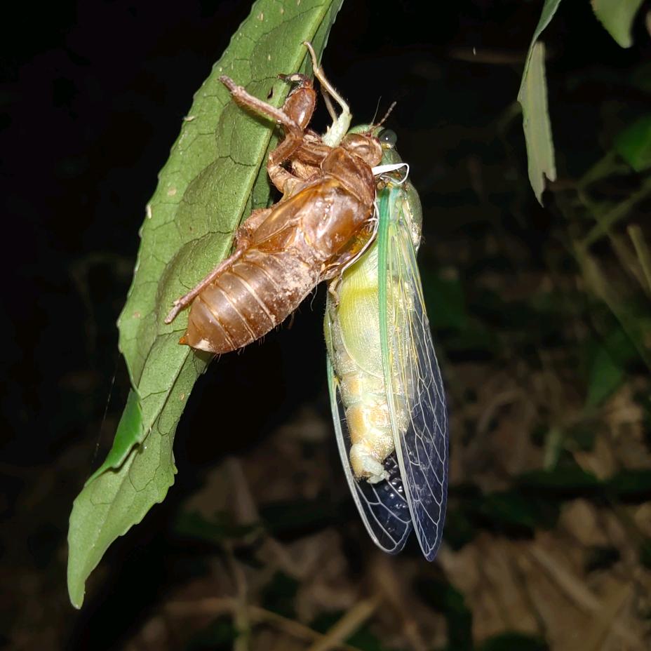🏂滇丘🌻山区🏃