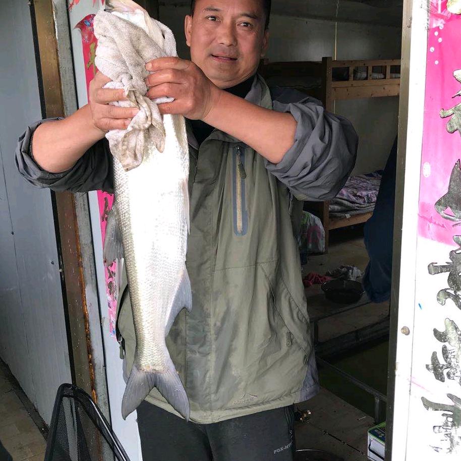 发哥野钓
