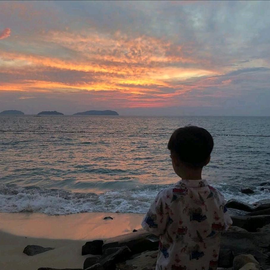 假书生