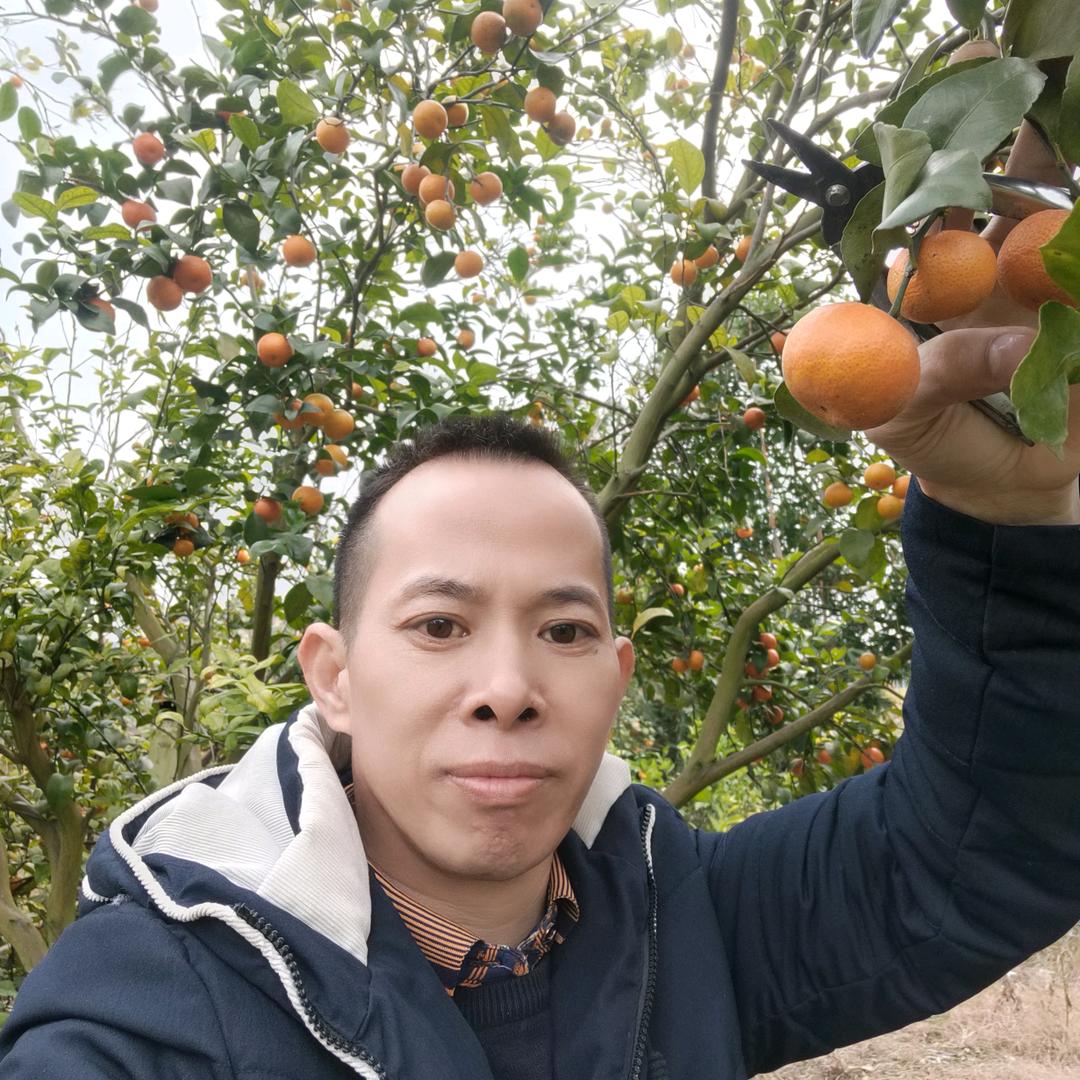 小白兔白要白