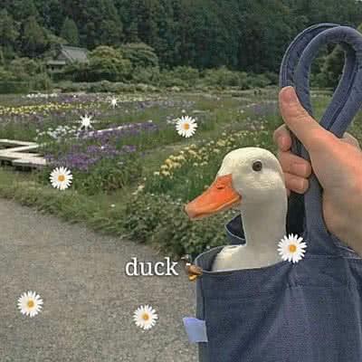 草莓糖