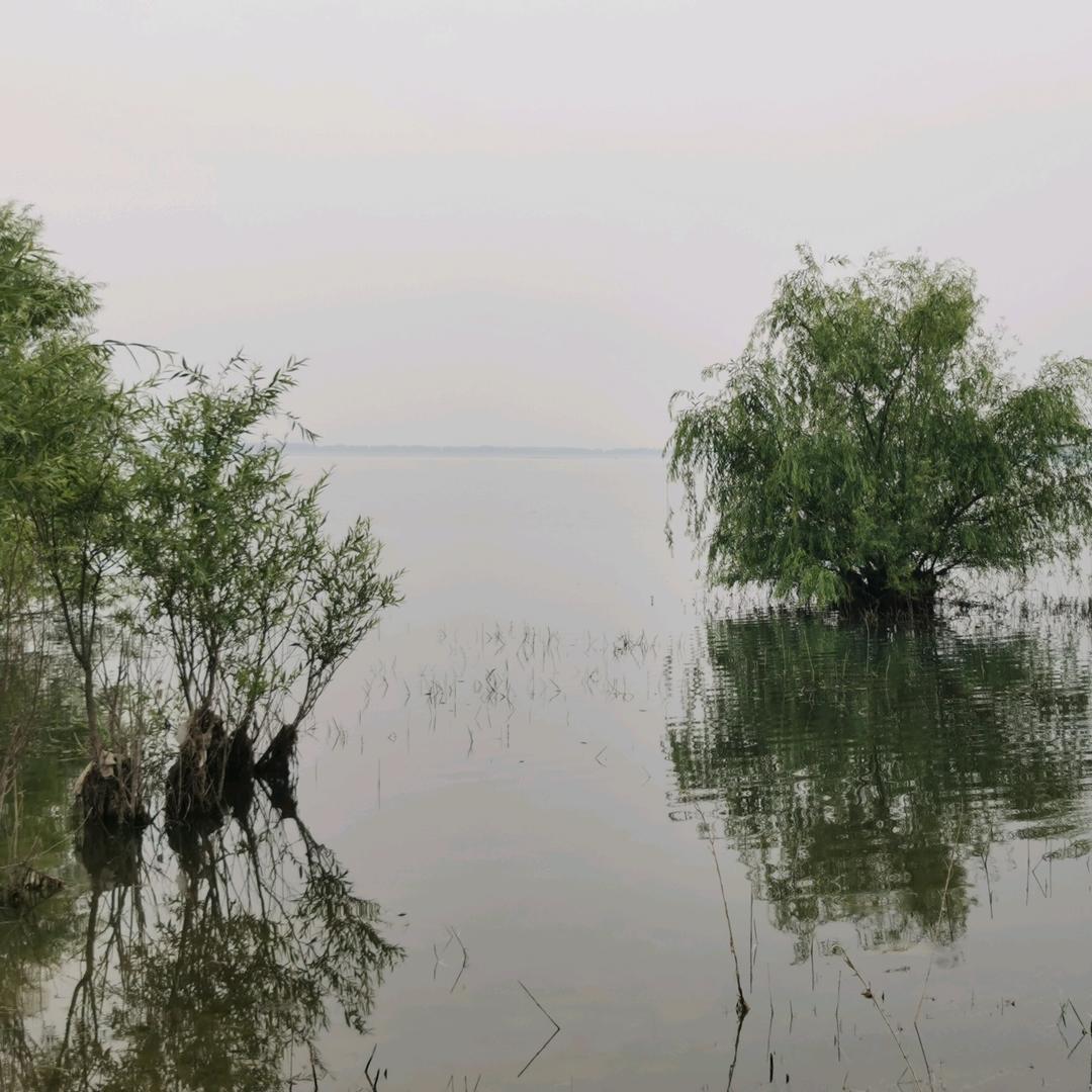 随缘你别争