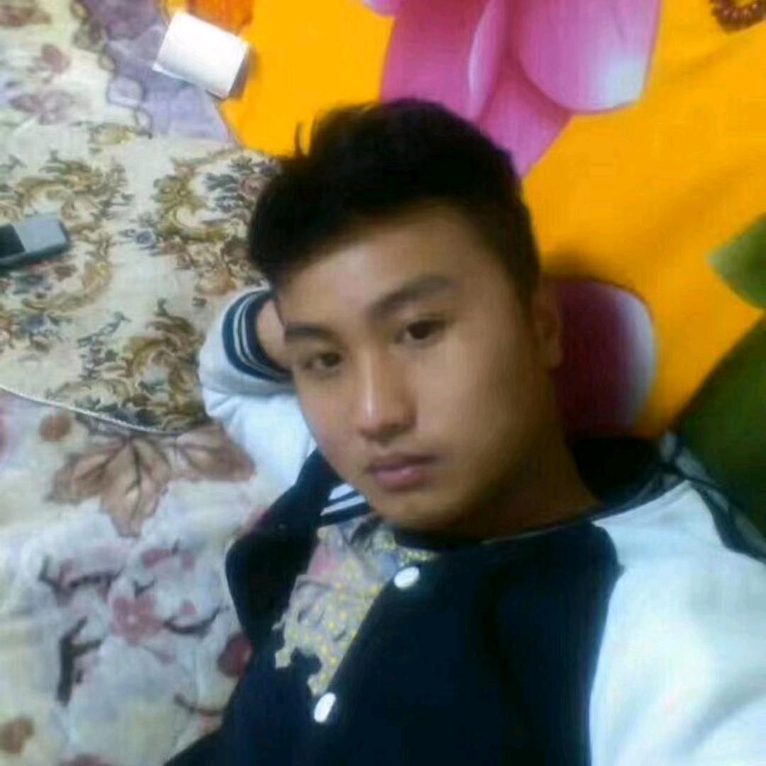 折梅寄往旧时光