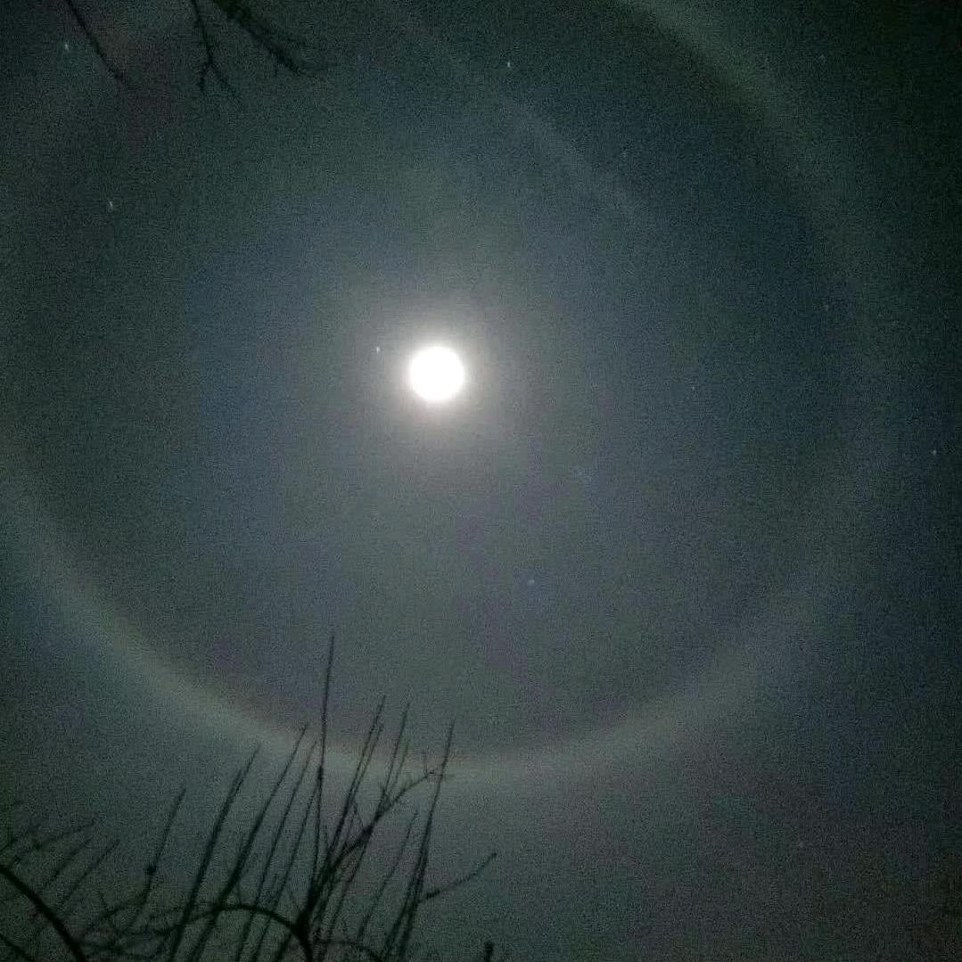 明明有梨