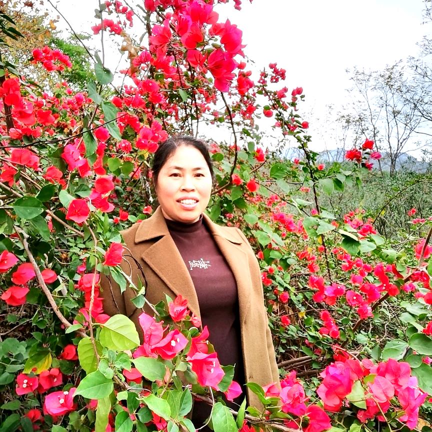 开心好