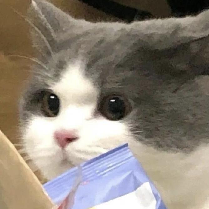 墨|ω・）