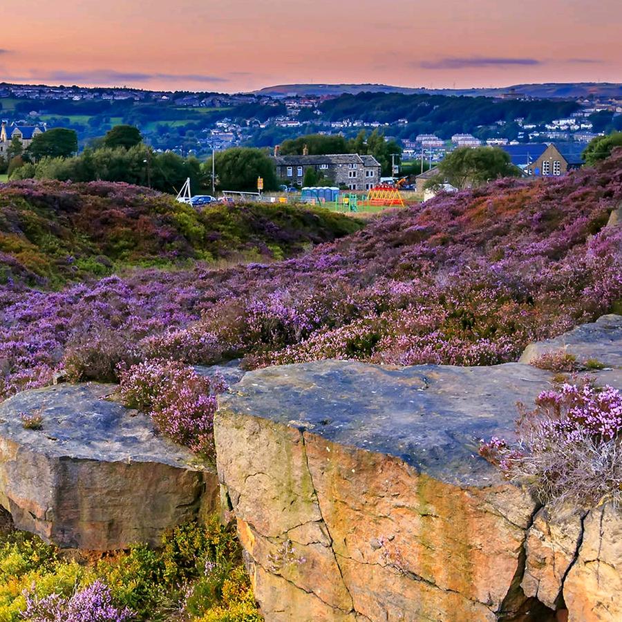 谁能久伴不分离