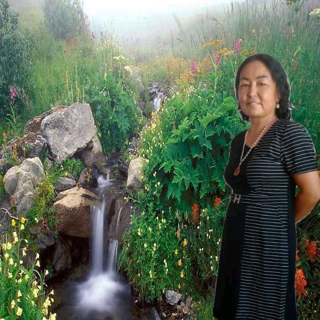 布比古丽❤❤