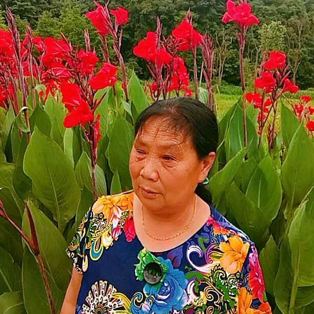 小六娘