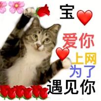 顺顺利利赚大钱