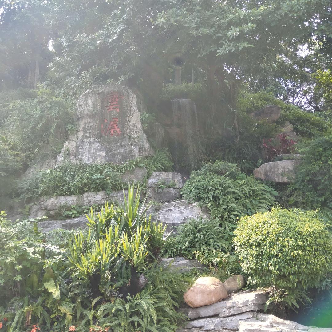 🌴雨露