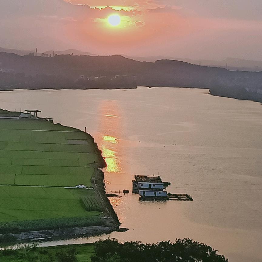 黄哥哥