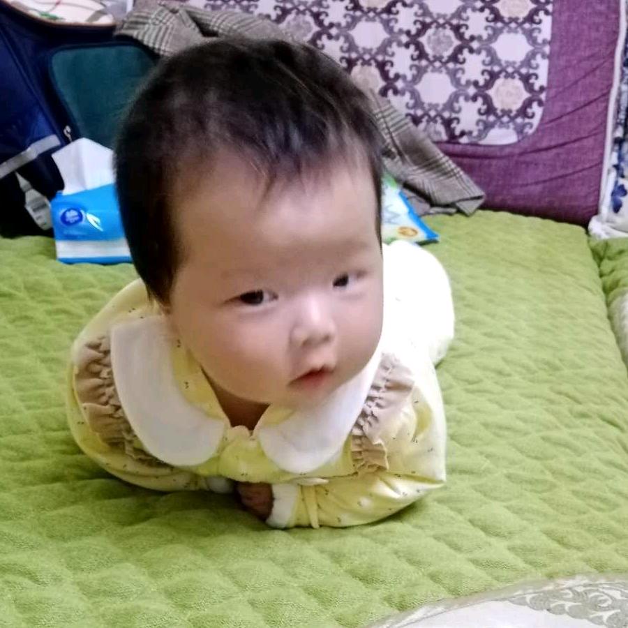 叶逐阳光