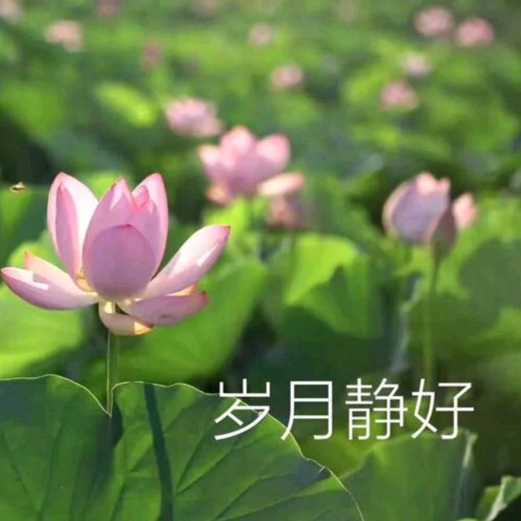 芳芳～