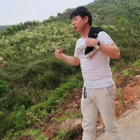陳龍