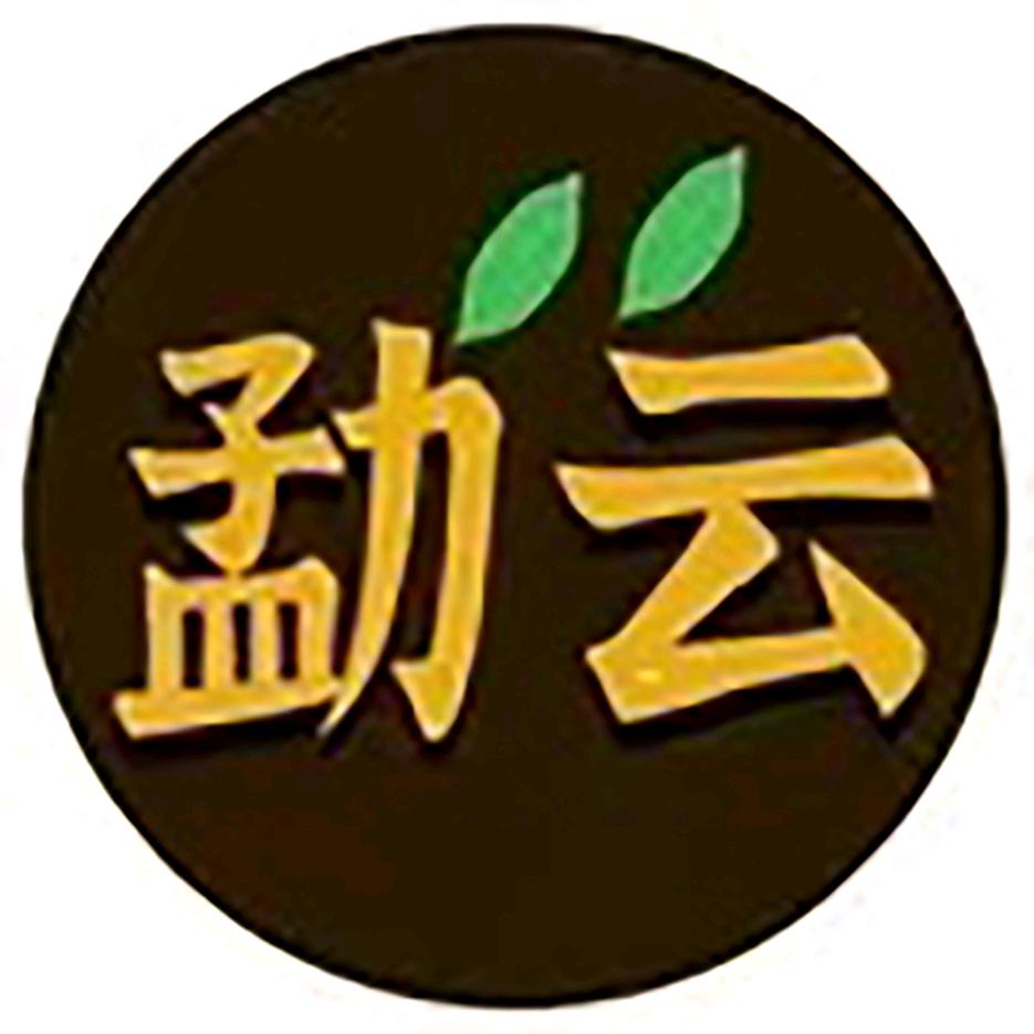 勐云古树茶