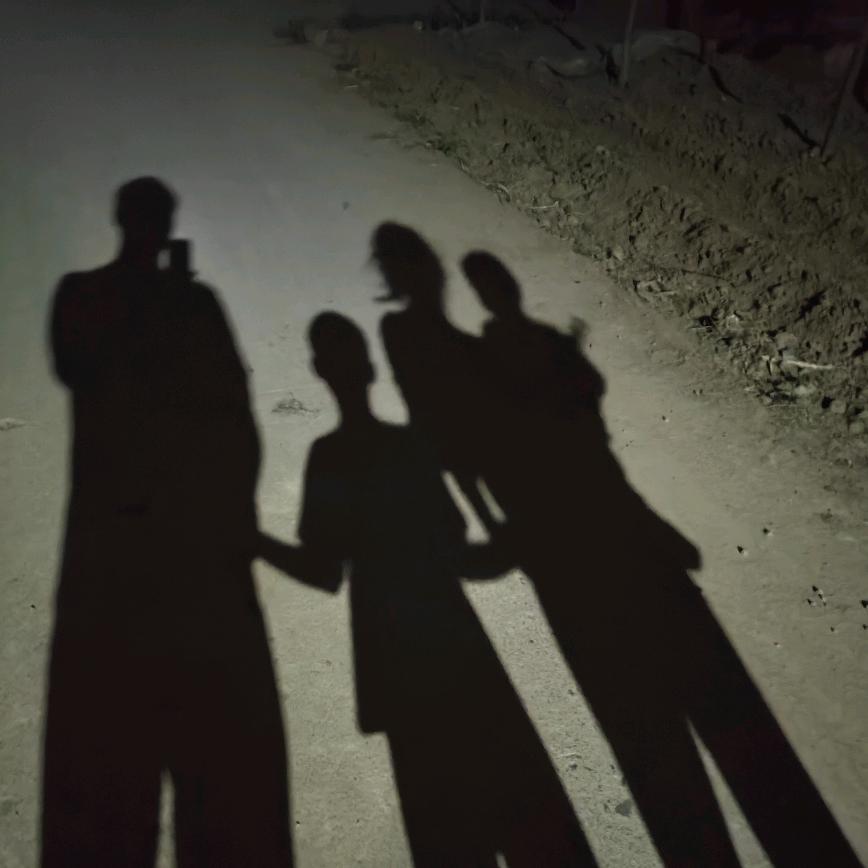 北海道黄杨种植基地