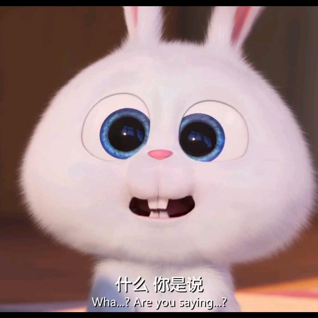 小羊咩咩鬼👻