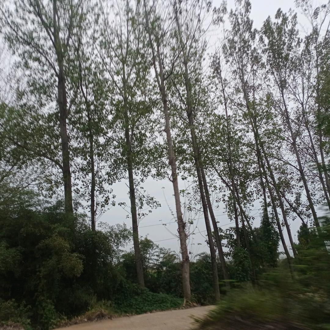 浅笑心柔