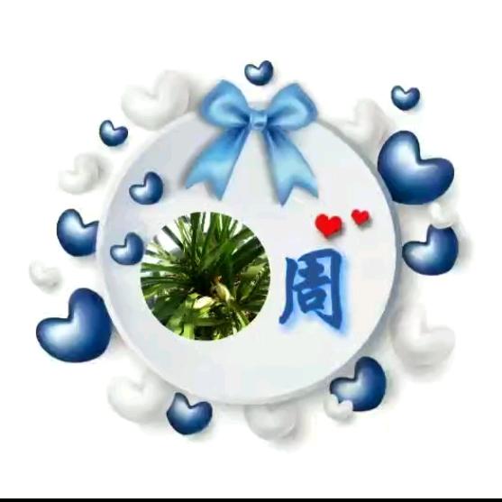 浪子天崖