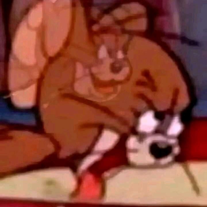 prpr