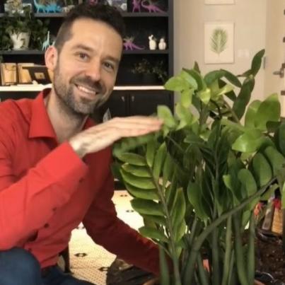 Mr.Houseplant
