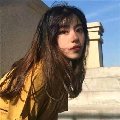 晴儿书单   《好物在橱窗》