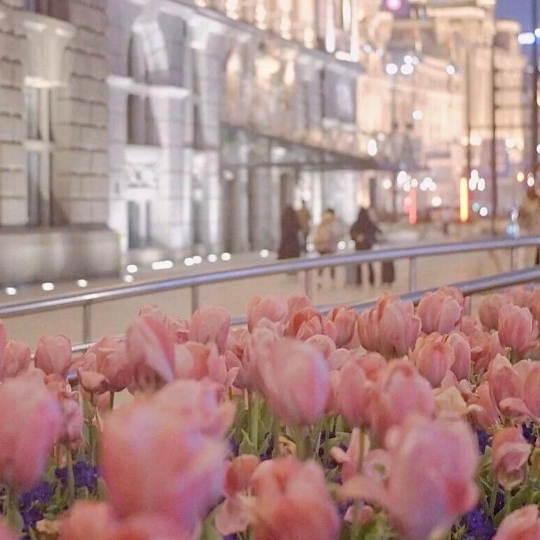 董二烤鹅 烧烤 火锅  铁锅炖