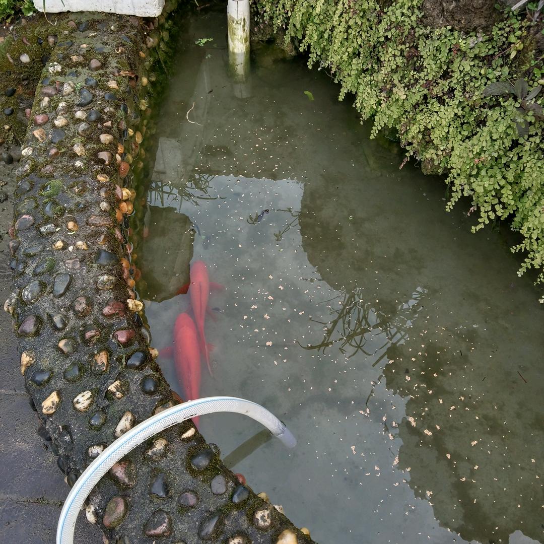 明
