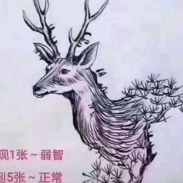 萍姐直播间