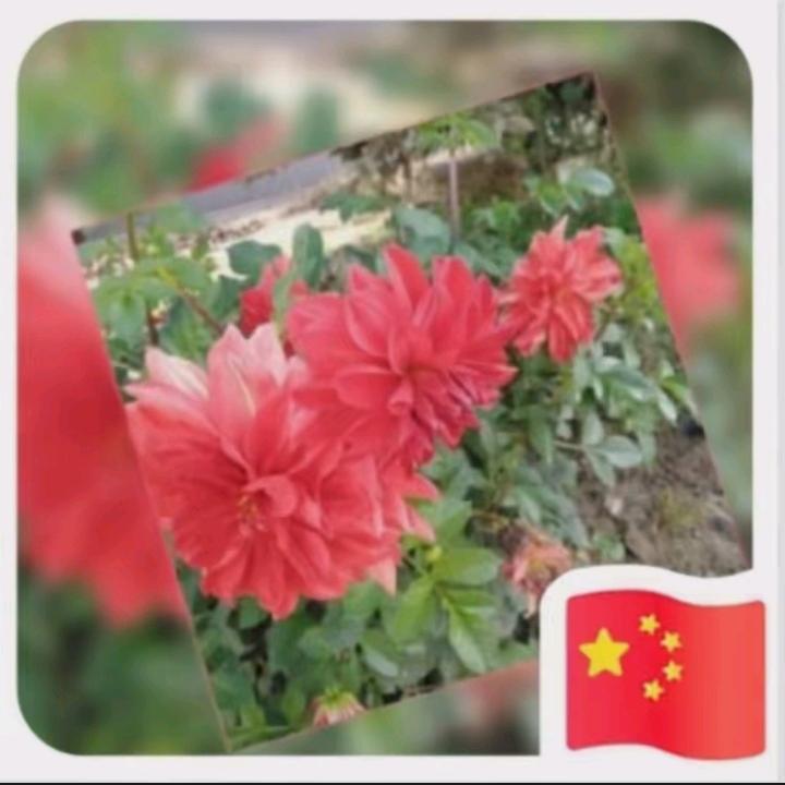 快乐人生🍒