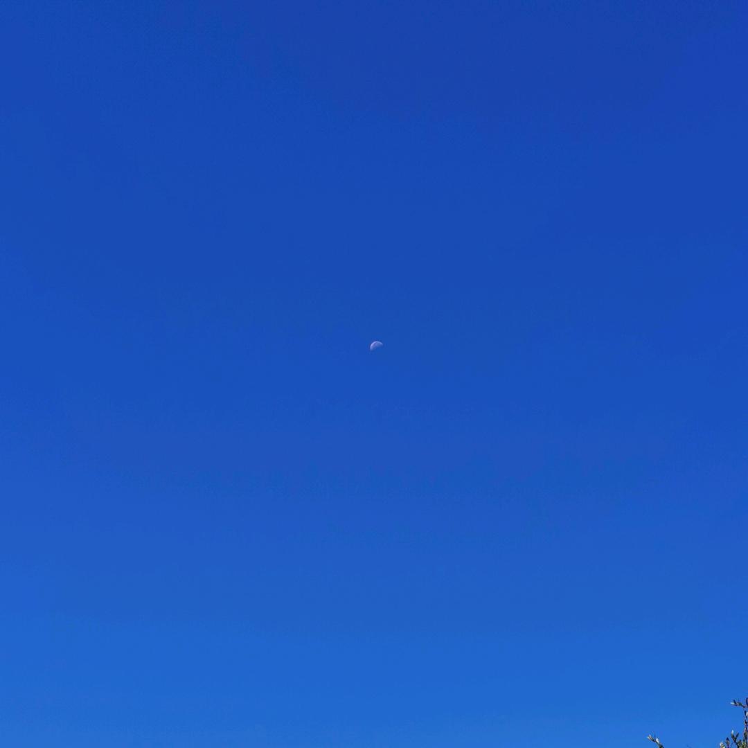 嗳妤+汶