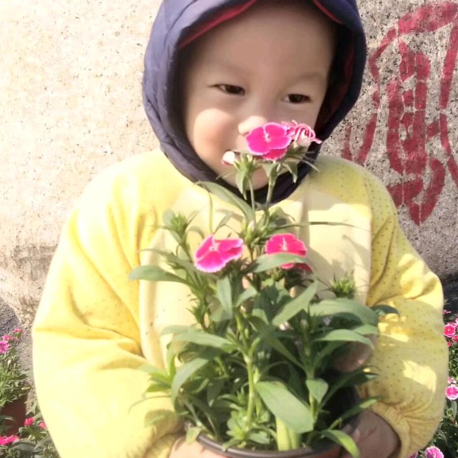 (๑><๑）小瓶盖