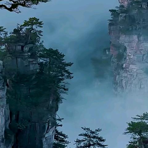 泊生的人