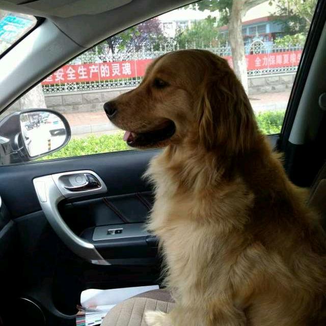 给你幸福