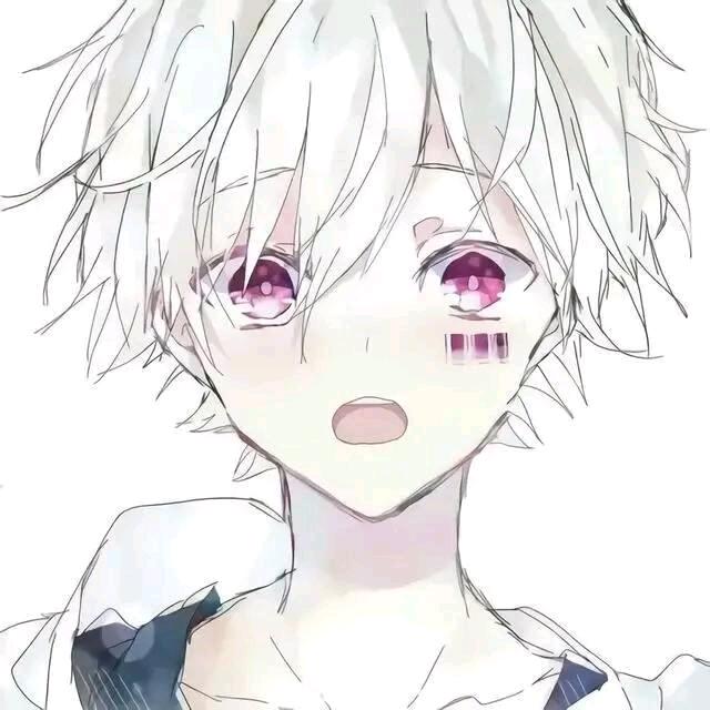 漫漫动动君