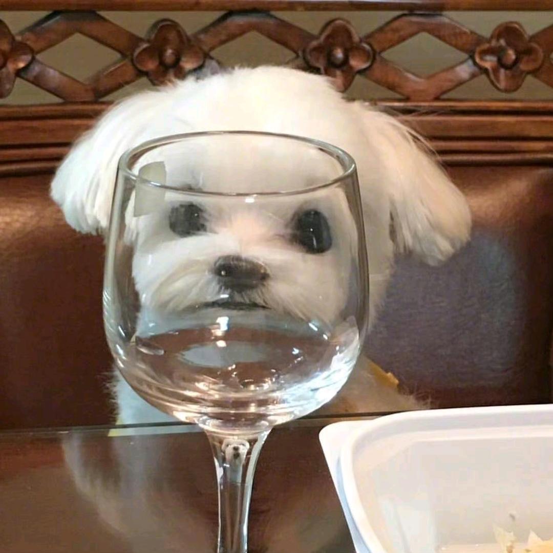 倾.头像