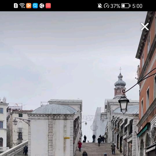 蛇年大吉小锦鲤1