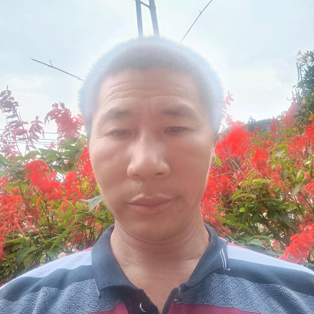 袁进彪