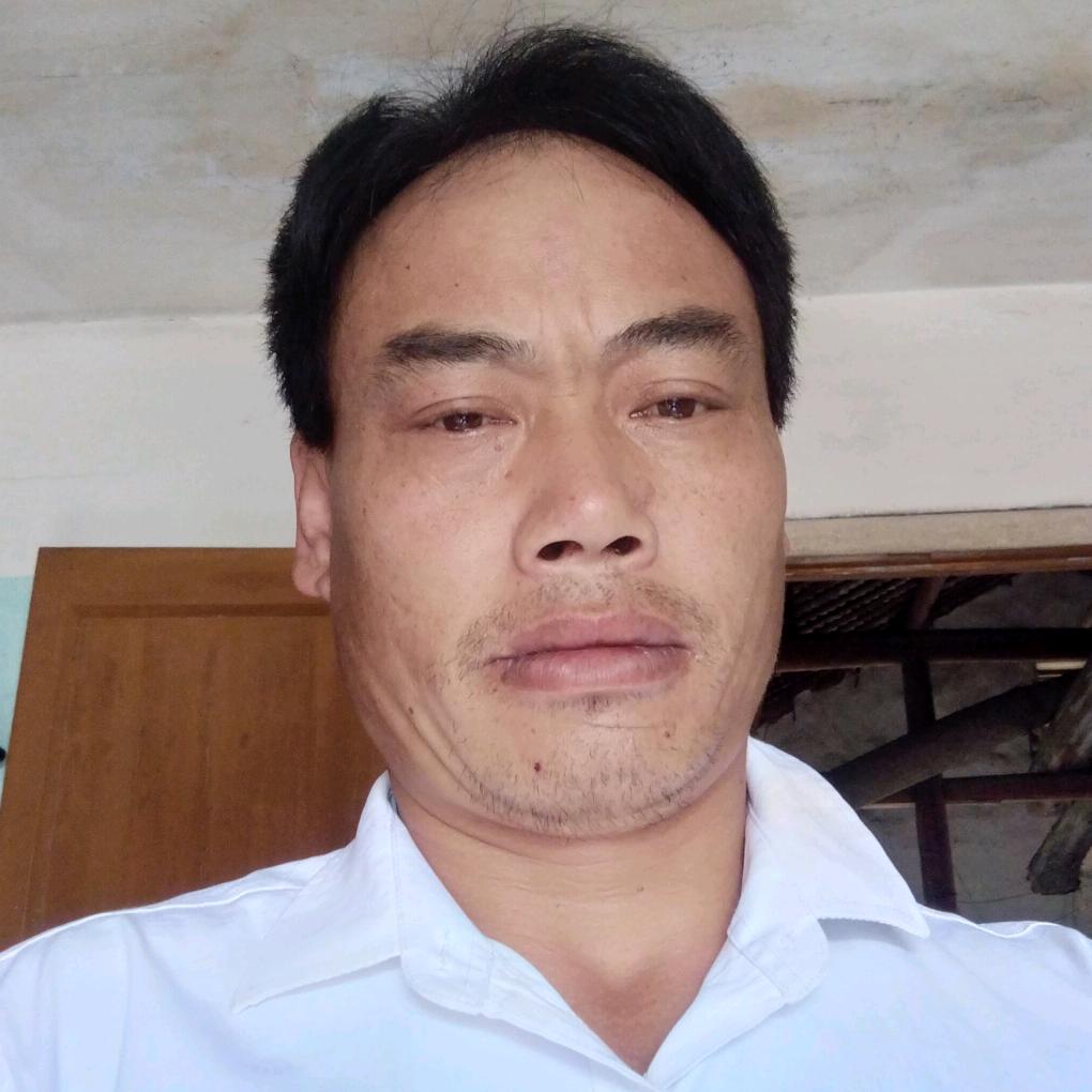 紫竹林中客萧哥