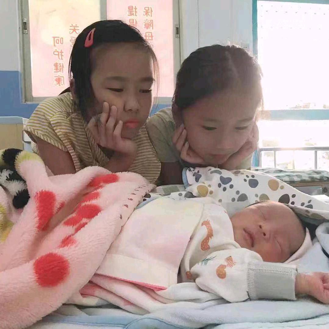🐷🐯🐰🐍🐭垚琪乐
