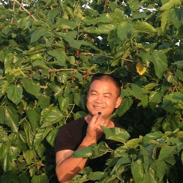 爱唱歌的电工