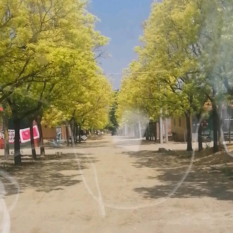 走自己的路！让别人说去吧！外墙保温真石漆