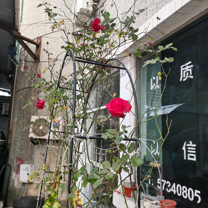啊国