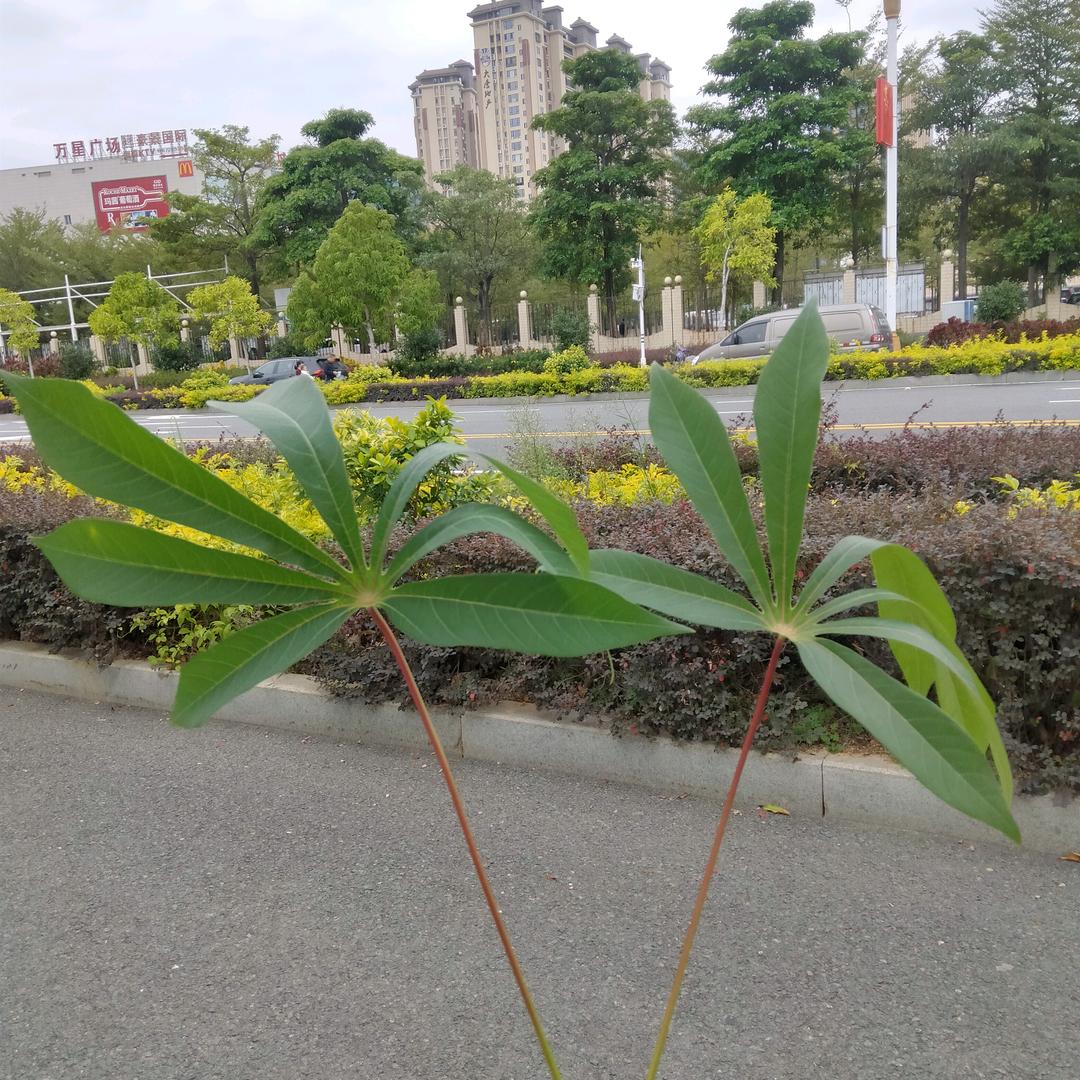天生我才必有用