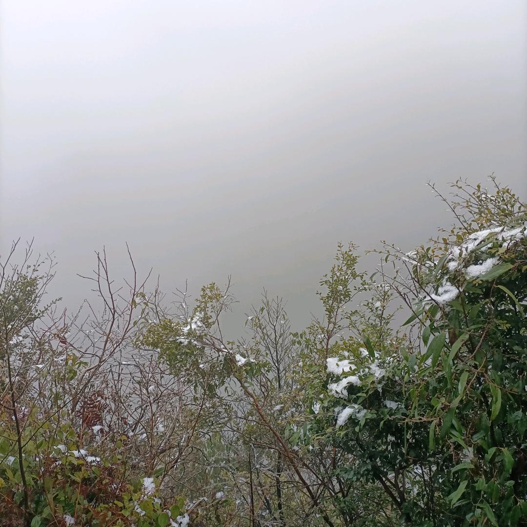 戒烟达人