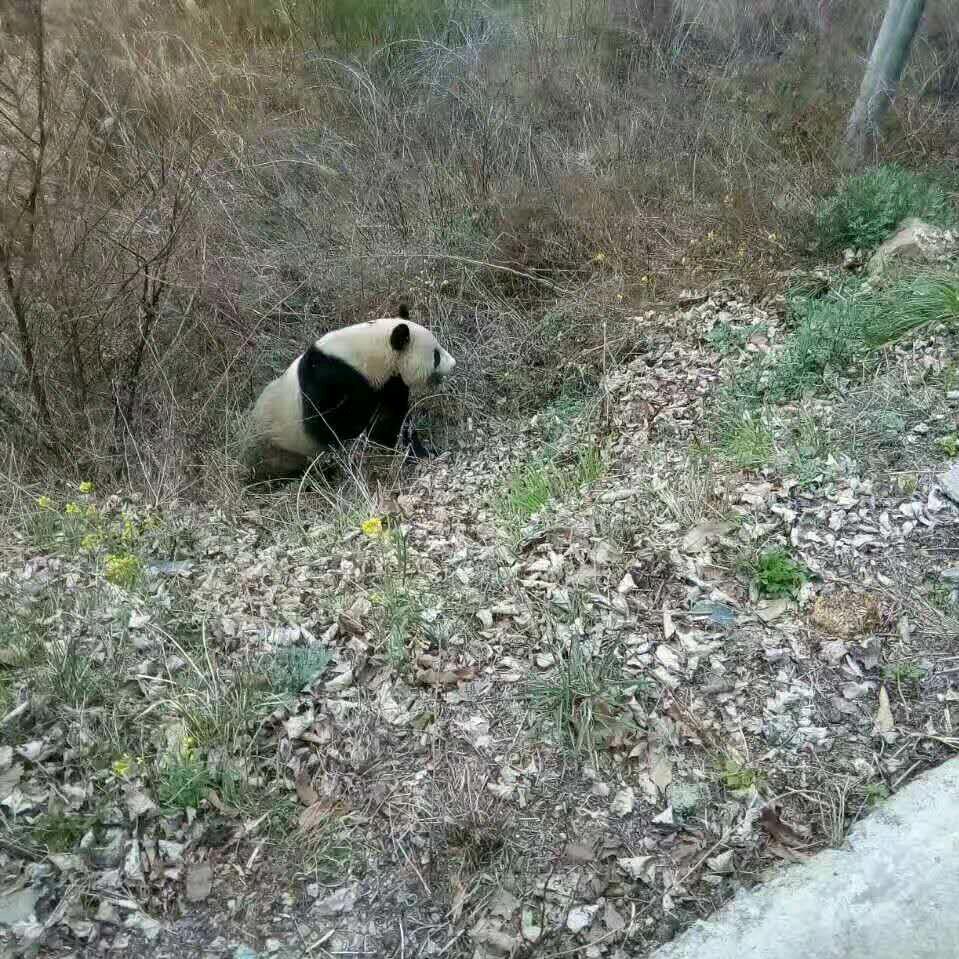 用户8059860929321幸福