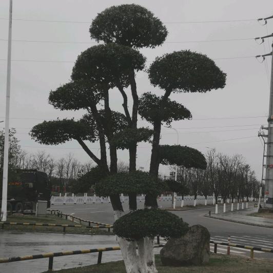 靠边站，别挡信号