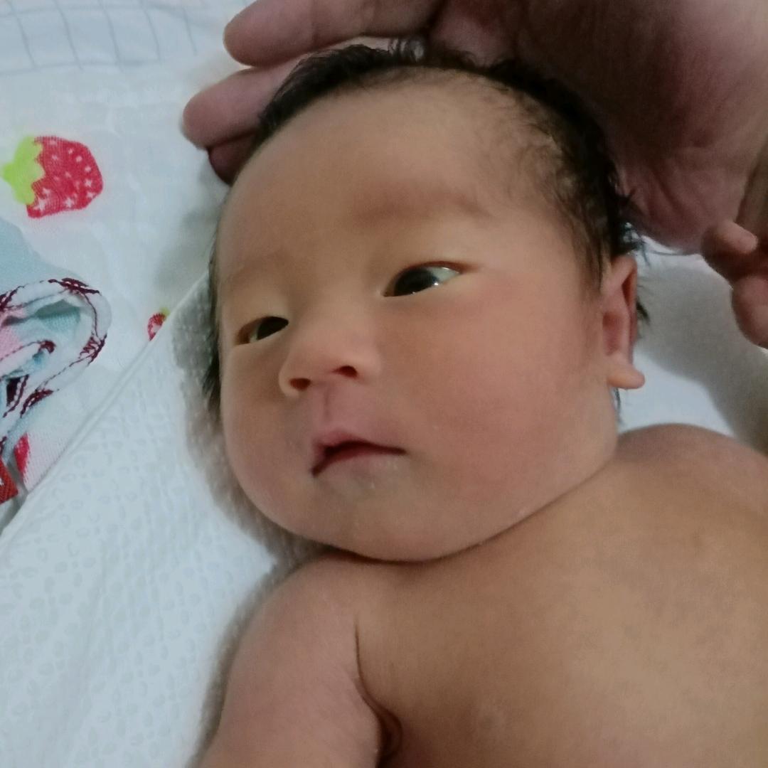 壮壮